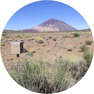Learn about the Teide Lab project and the meteorological phenomena to be found on Mount Teide Learn about the Teide Lab project and the meteorological phenomena to be found on Mount Teide