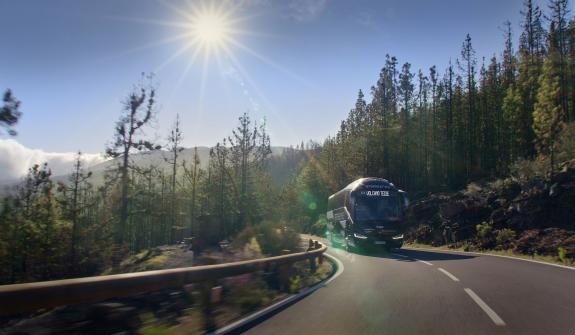 Mount Teide Tour without Cable Car