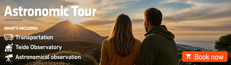 Excursion to Teide with a visit of the Observatory and stargazing Excursion to Teide with a visit of the Observatory and stargazing