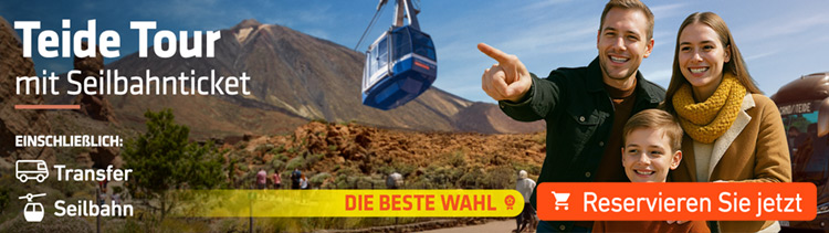 Ausflug Teide Tour mit Teide-Seilbahn Ausflug Teide Tour mit Teide-Seilbahn