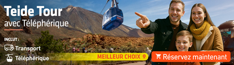 Excursion Teide Tour avec Téléphérique au Teide Excursion Teide Tour avec Téléphérique au Teide